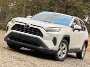 Toyota RAV4 2020 Pearl for sale