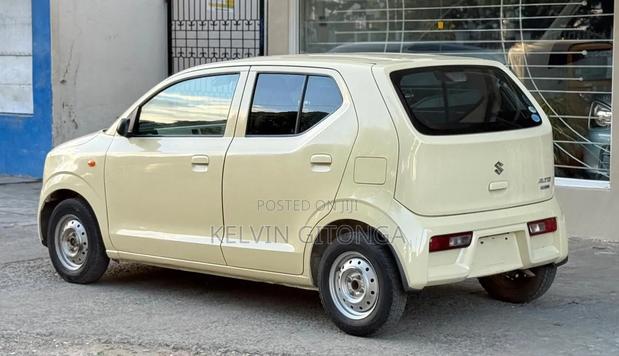 Suzuki Alto 2019 Brown