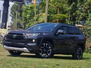 Toyota RAV4 2019 Gray for sale