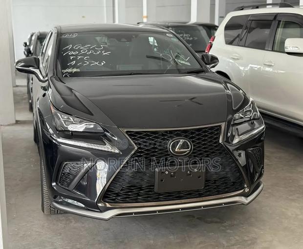 Lexus NX 300 AWD 2020 Matt Black