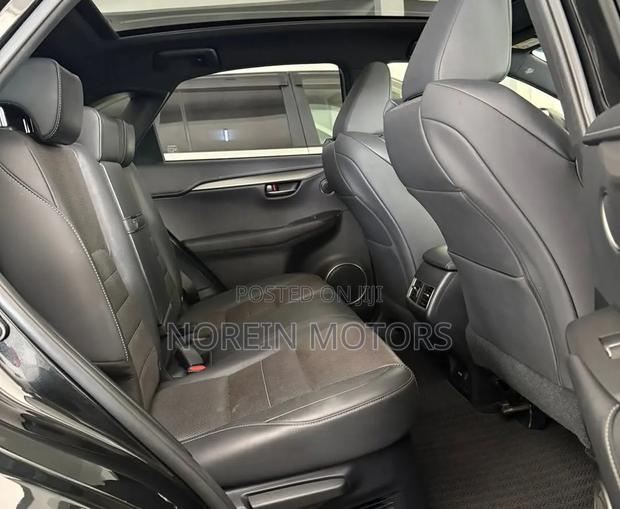 Lexus NX 300 AWD 2020 Matt Black