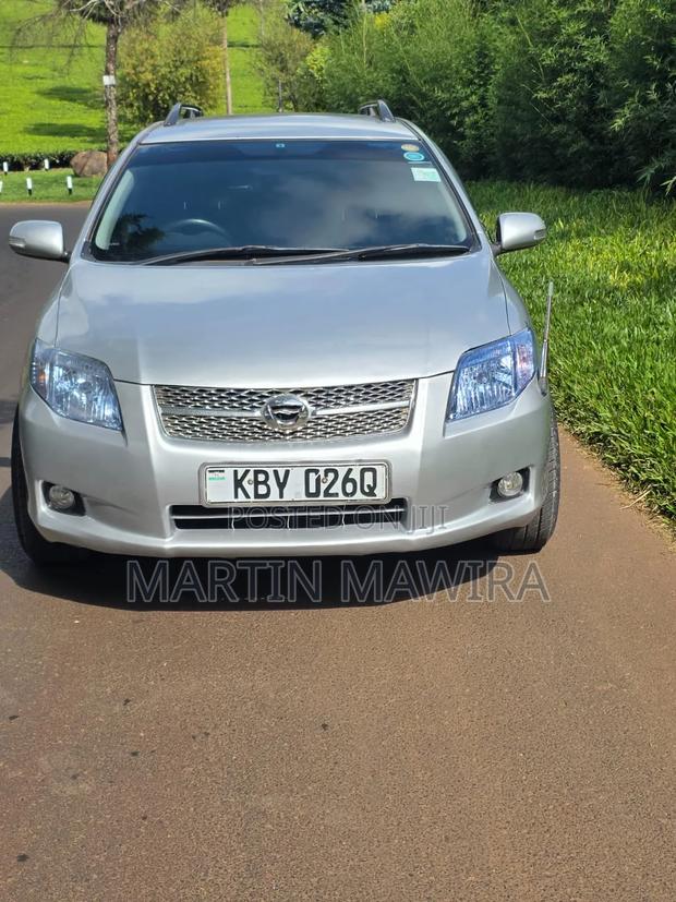 Toyota Corolla Fielder 2007 Silver