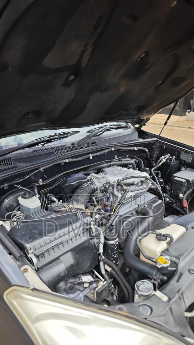 Toyota Land Cruiser Prado 2004 Gray