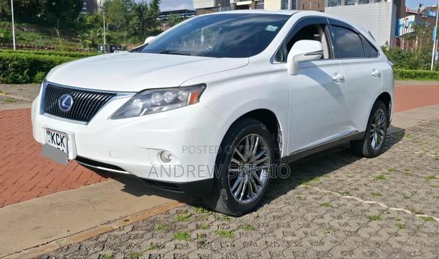 Lexus RX 2010 White