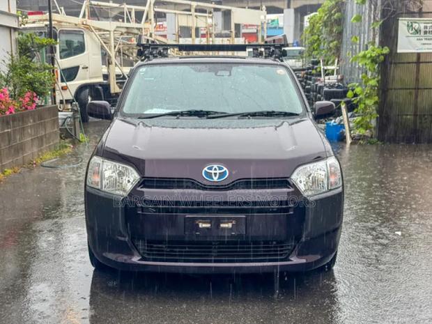 Toyota Succeed 2019 Purple