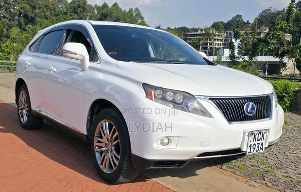 Lexus RX 2010 White