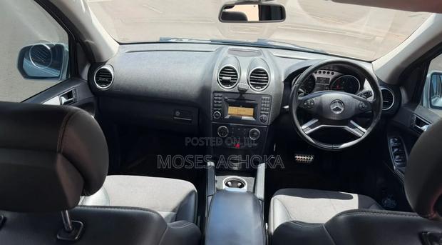 Mercedes-Benz M Class 2010 Silver