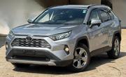 Toyota RAV4 2019 Silver for sale