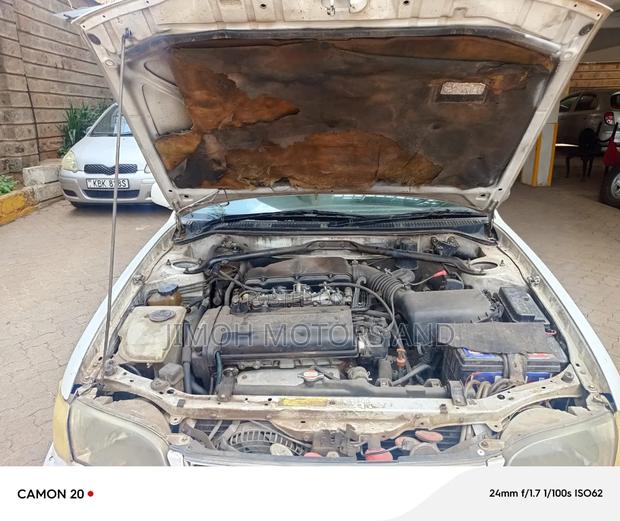 Toyota Corolla 1999 White