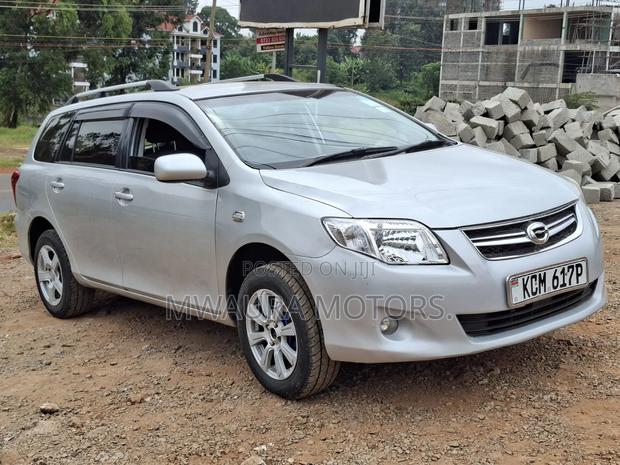 Toyota Corolla Fielder 2010 Silver