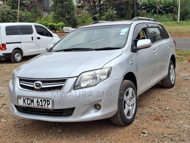 Toyota Corolla Fielder 2010 Silver