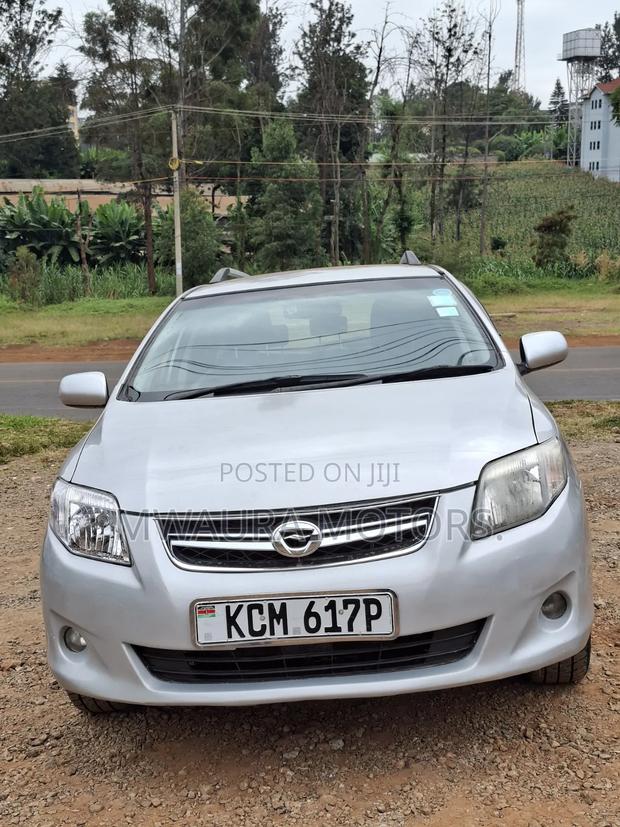 Toyota Corolla Fielder 2010 Silver