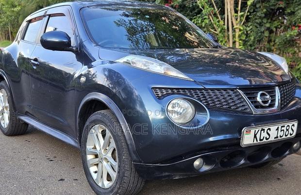 Nissan Juke 2011 Blue