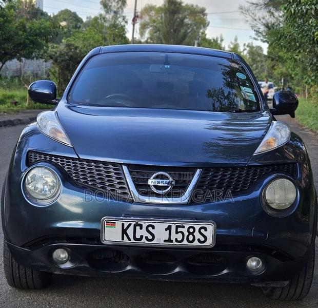 Nissan Juke 2011 Blue