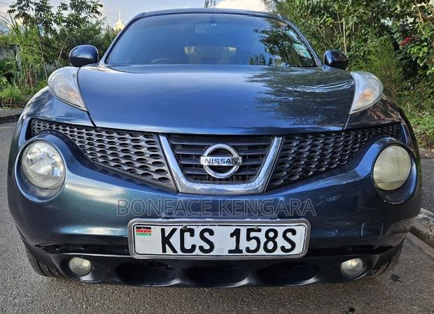 Nissan Juke 2011 Blue