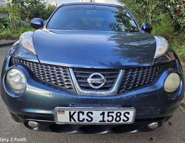 Nissan Juke 2011 Blue