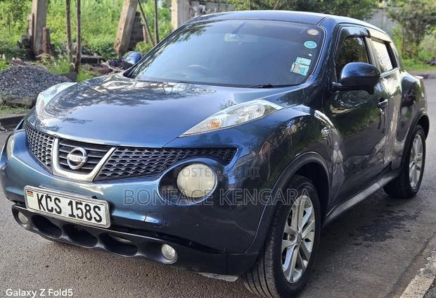 Nissan Juke 2011 Blue