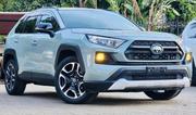 Toyota RAV4 XLE Premium FWD 2019 Green for sale