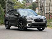 Subaru Forester 2019 Gray for sale