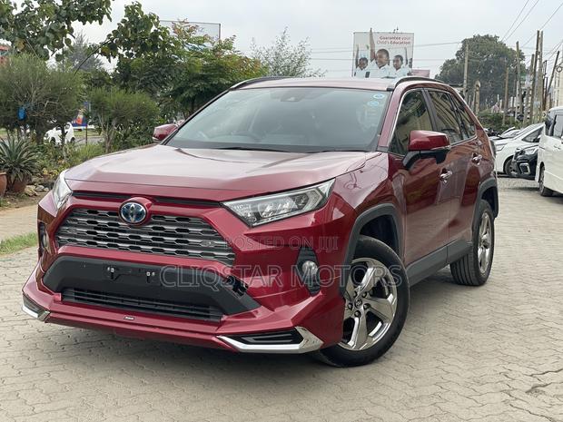 Toyota RAV4 Adventure 2019 Burgundy