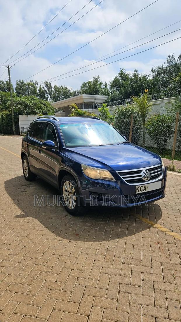 Volkswagen Tiguan 2009 Blue