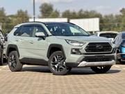 Toyota RAV4 Adventure 2019 Gray for sale