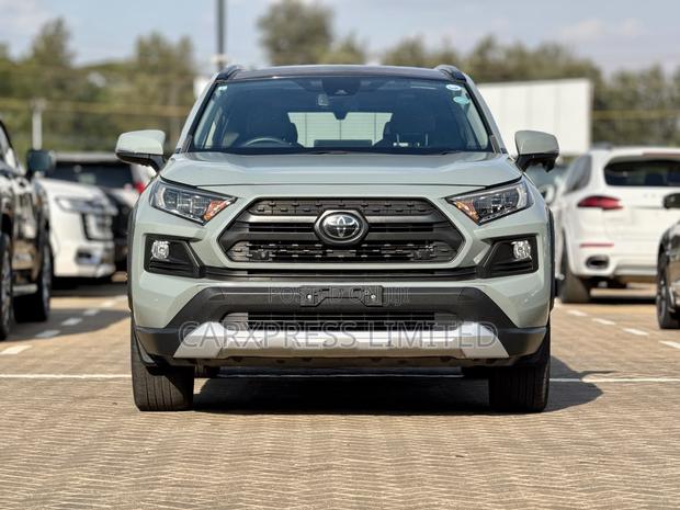 Toyota RAV4 Adventure 2019 Gray