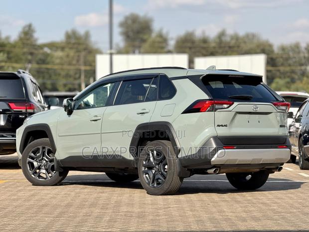 Toyota RAV4 Adventure 2019 Gray