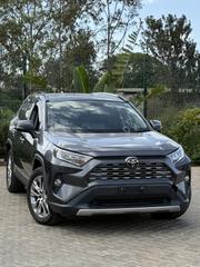 Toyota RAV4 2019 Gray for sale