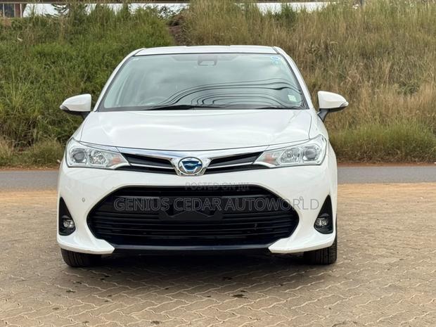 Toyota Corolla Fielder 2019 White
