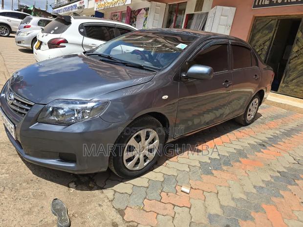 Toyota Axio 2010 Gray