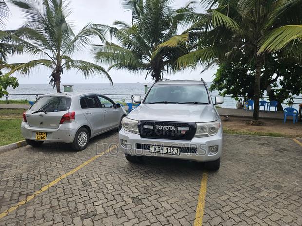 Toyota Land Cruiser 2010 Silver