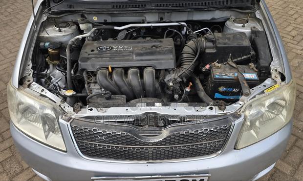 Toyota Corolla Fielder 2005 Silver