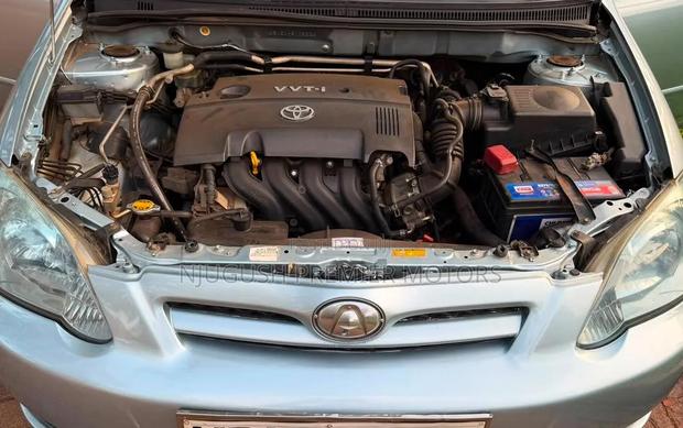 Toyota Allex 2006 Silver