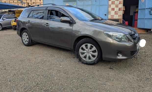 Toyota Corolla Fielder 2011 Gray