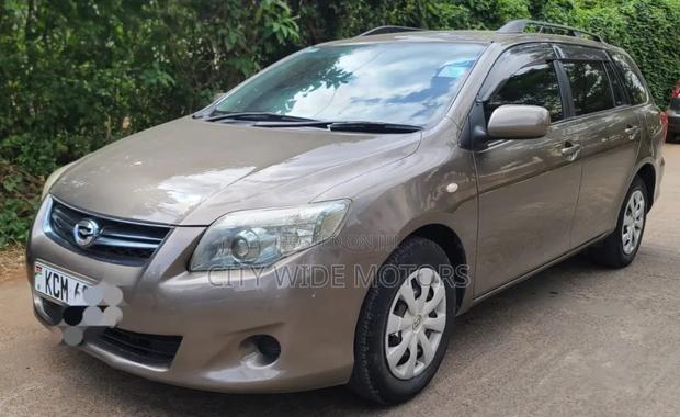 Toyota Corolla Fielder 2010 Gold