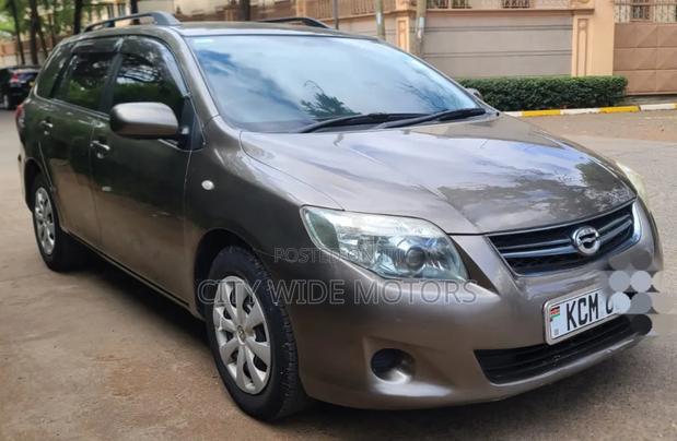 Toyota Corolla Fielder 2010 Gold