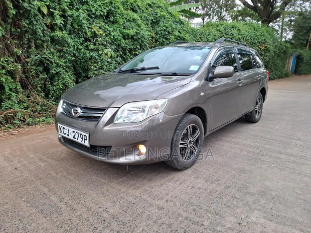 Toyota Corolla Fielder 2010 Silver