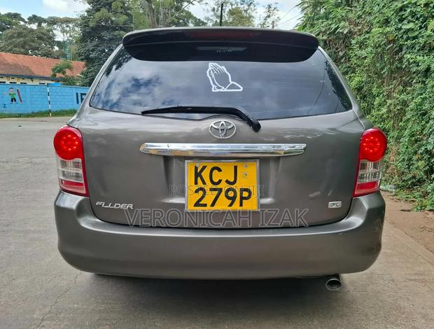 Toyota Corolla Fielder 2010 Brown