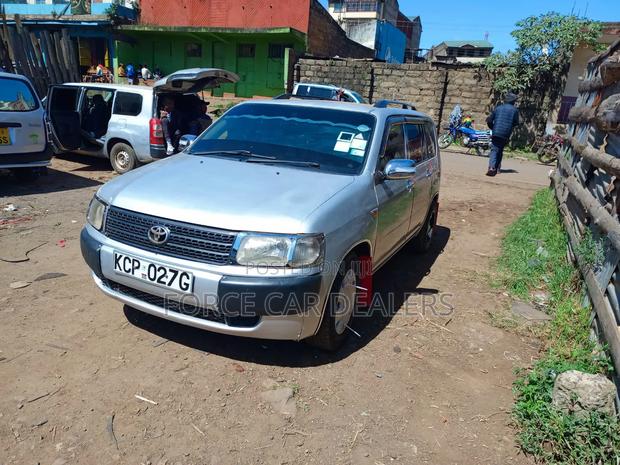 Toyota Probox 2010 Silver