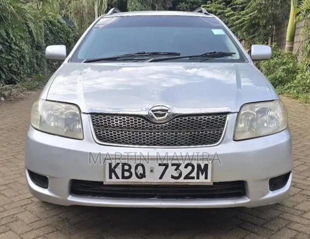 Toyota Corolla Fielder 2005 Silver