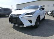 Lexus NX 2019 White for sale