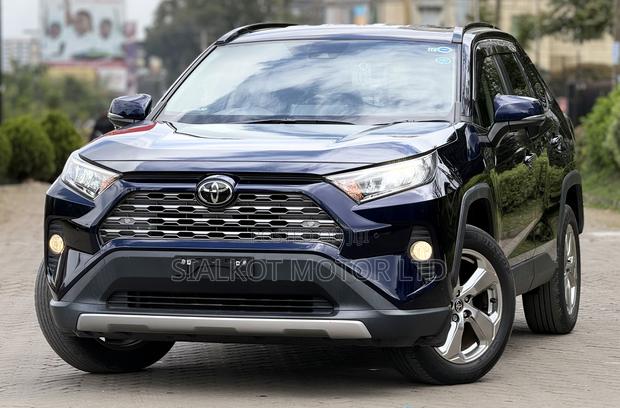 Toyota RAV4 LE AWD 2019 Blue