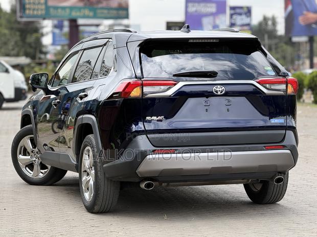 Toyota RAV4 LE AWD 2019 Blue
