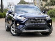 Toyota RAV4 LE AWD 2019 Blue for sale