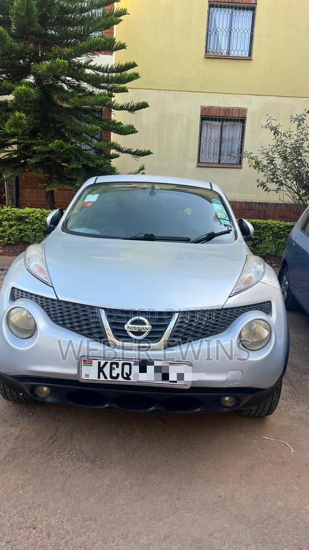 Nissan Juke 2011 Silver