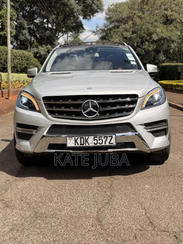 Mercedes-Benz M Class 2014 Silver