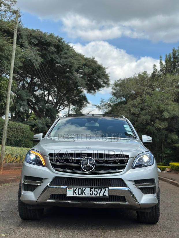 Mercedes-Benz M Class 2014 Silver