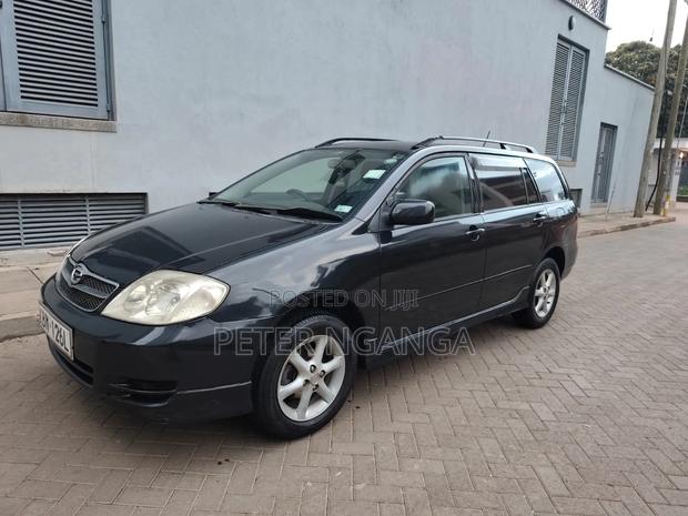 Toyota Corolla Fielder 2004 Black