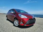 Toyota Vitz 1.5 FWD Hybrid 5dr 2019 Red for sale